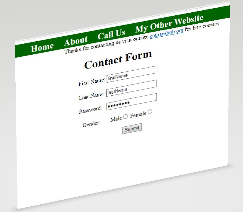 html form